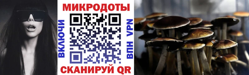 KRAKEN рабочий сайт  shop состав  Псилоцибиновые грибы мицелий  Новосиль 