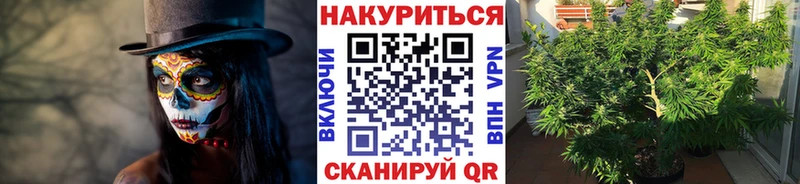 Бошки марихуана AK-47  блэк спрут tor  Новосиль 